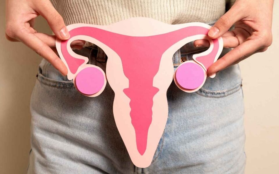 Pólipos uterinos: o que são e quando merecem atenção