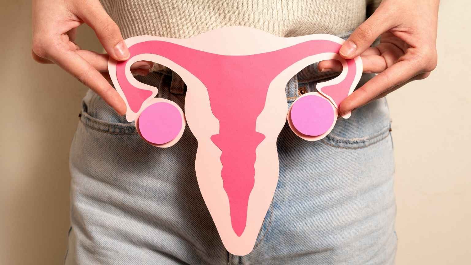 Pólipos uterinos: o que são e quando merecem atenção